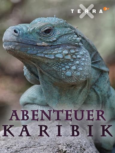 Abenteuer Karibik poster