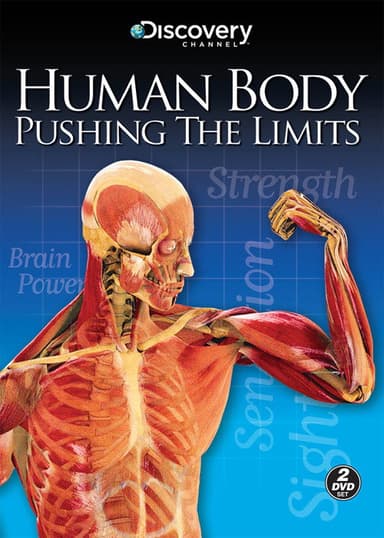 Pushing The Limits poster