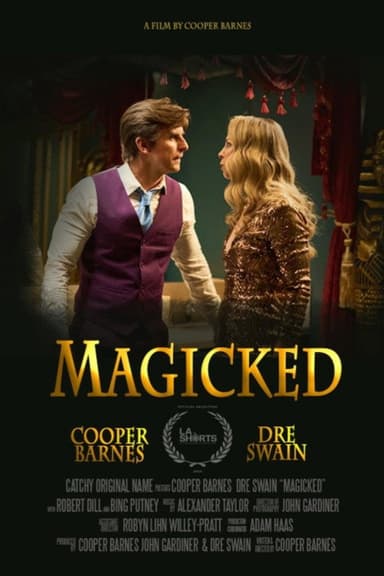 Magicked poster