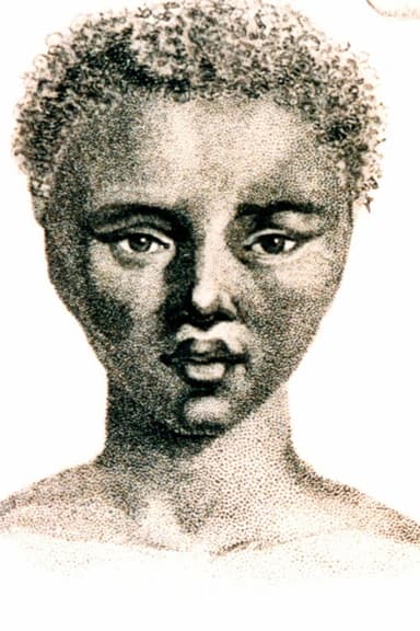 The Life and Times of Sara Baartman poster