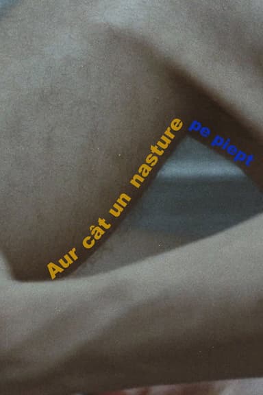 Aur cât un nasture pe piept poster