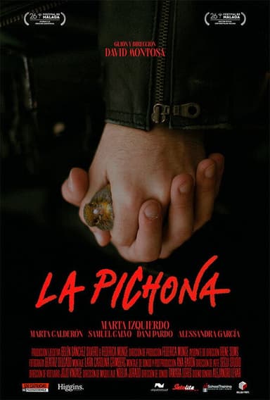 Young Bird poster