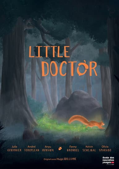 Little Doctor poster