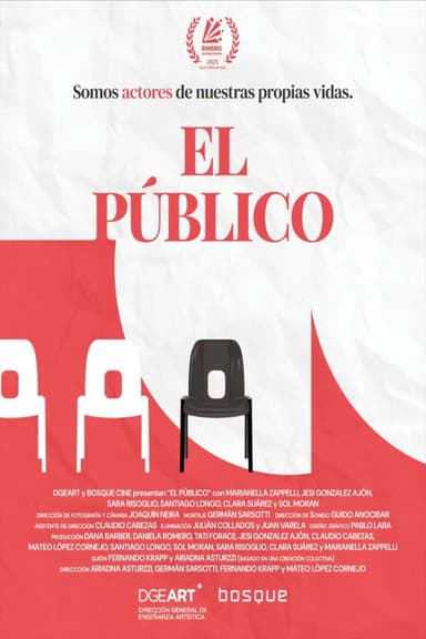 The public poster