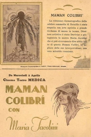 Mother Hummingbird poster