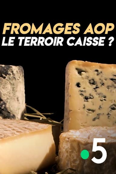Fromages AOP : le terroir caisse ? poster