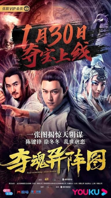 The Memory of a Killer poster