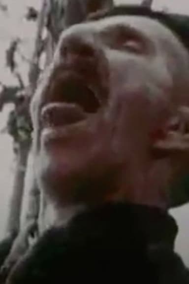 Il vero naif poster