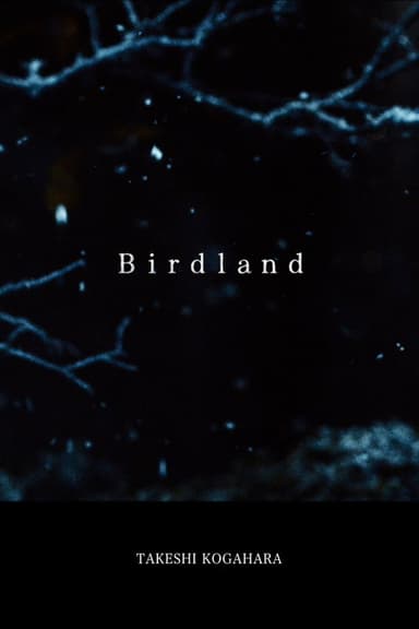 Birdland poster