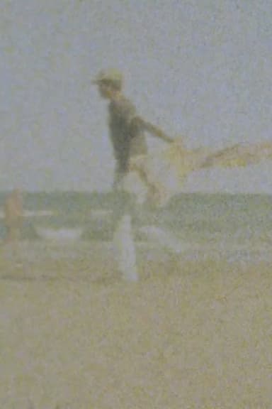 Beaches poster