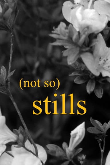 (not so) Stills. poster
