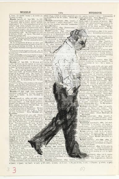 Second-hand Reading poster