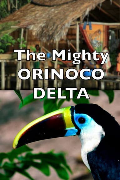 The Mighty Orinoco Delta poster