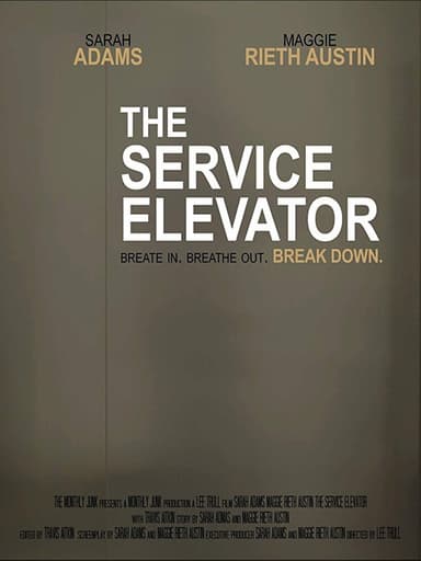 The Service Elevator poster