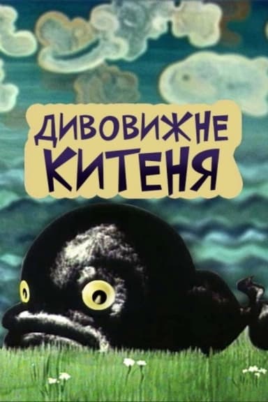 The Amazing Little Whale poster