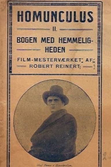 The Mysterious Book poster