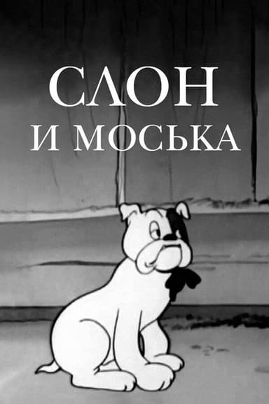 The Elephant and Moska the Dog poster
