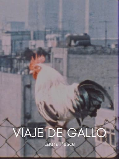 Rooster travel poster
