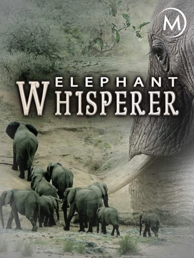 Elephant Whisp­erer poster