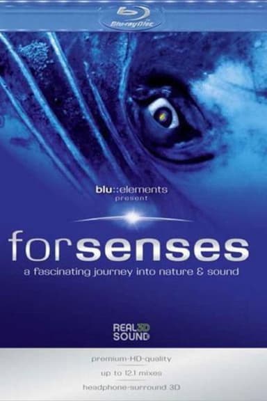 Forsenses：Blu Elements poster