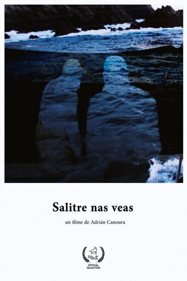 Salitre nas veas poster