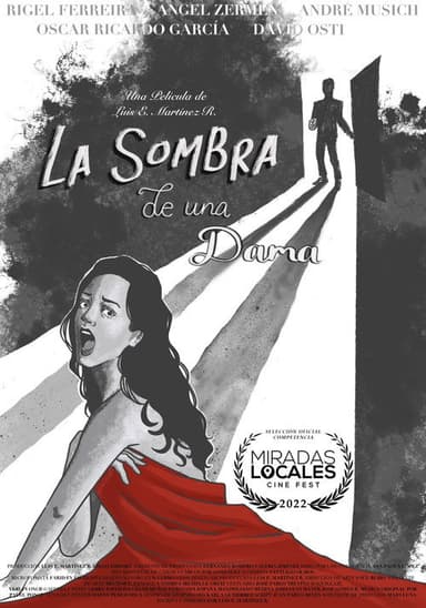 A Lady's Shadow poster