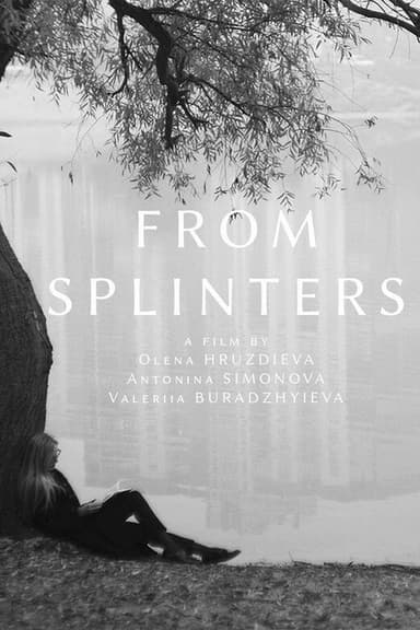 From Splinters poster