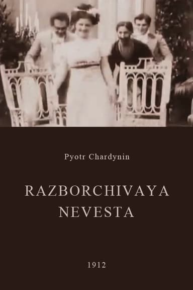 The Fastidious Bride poster