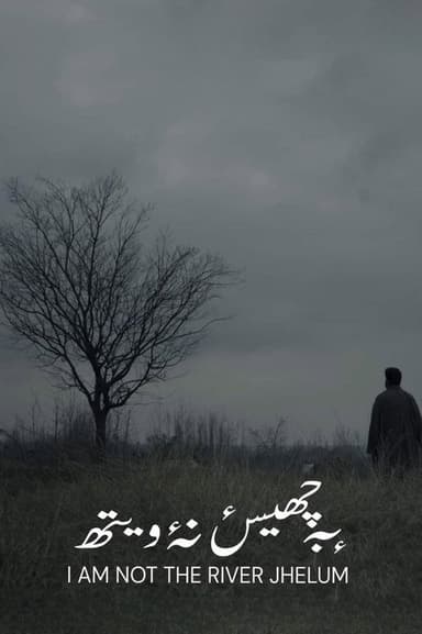 I'm Not The River Jhelum poster