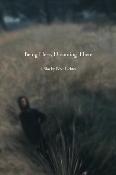 Being Here, Dreaming There poster