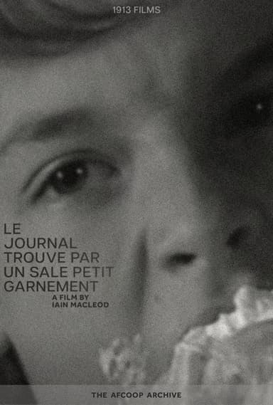 The Diary Found By A Nasty Kid poster