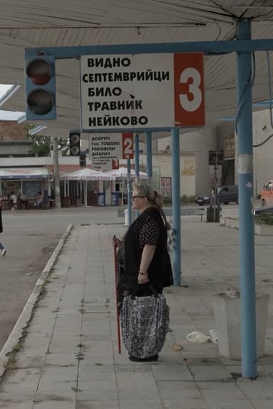 Bulgarian Dream poster