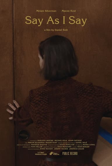 Say as I Say poster