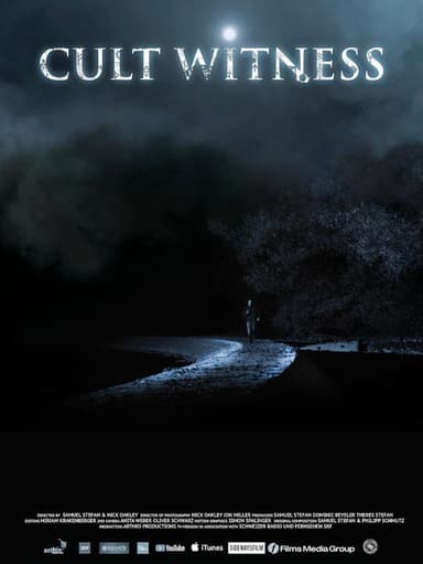 Cult Witness poster