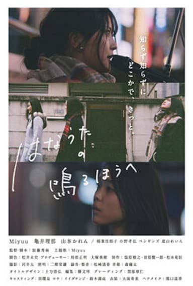 Fly poster