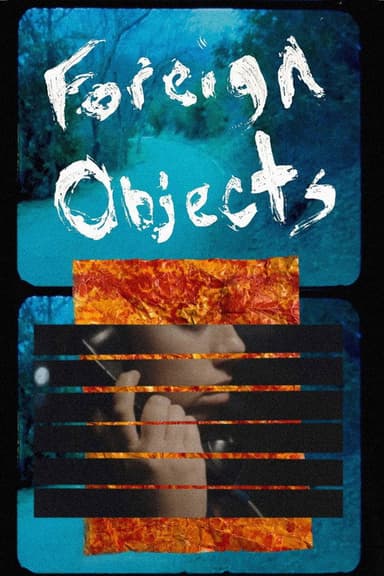 Foreign Objects poster