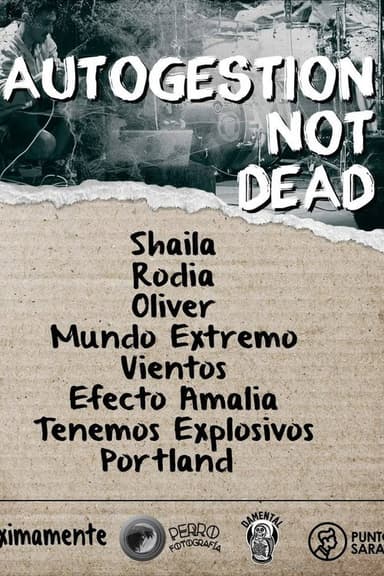 DIY Not Dead poster