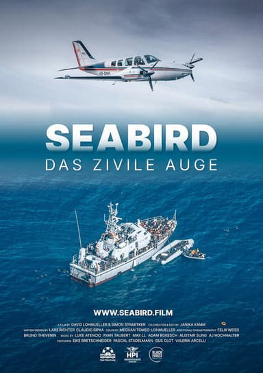 Seabird: The Civil Eye poster