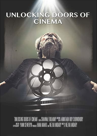 Unlocking Doors of Cinema poster