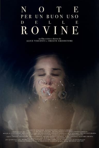 Notes For a Good Use of the Ruins poster