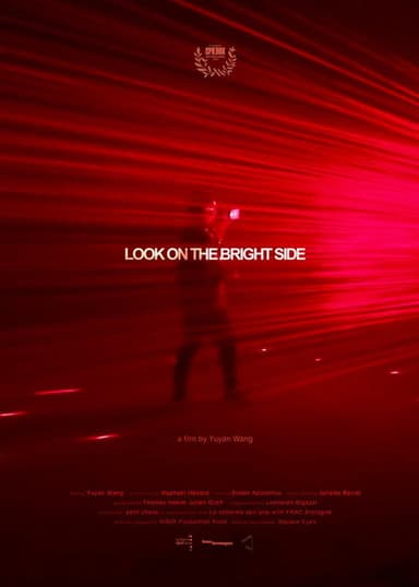 Look On the Bright Side poster