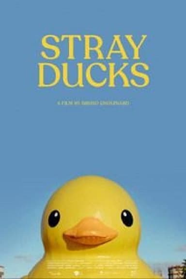 Stray Ducks poster