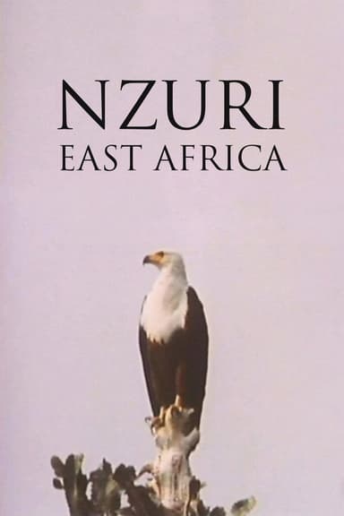 Nzuri: East Africa poster