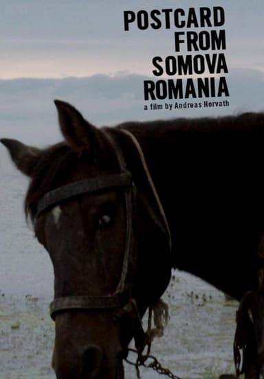 Postcard from Somova, Romania poster