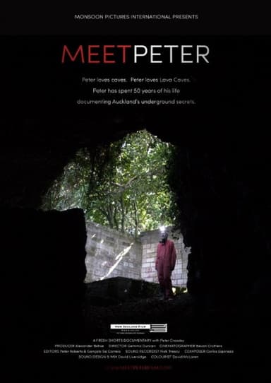 Meet Peter poster