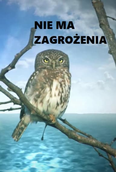 Nie ma zagrożenia poster