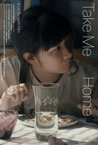 Take Me Home poster