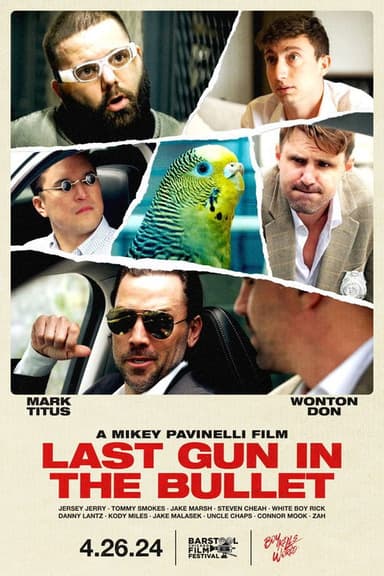 Last Gun In The Bullet poster