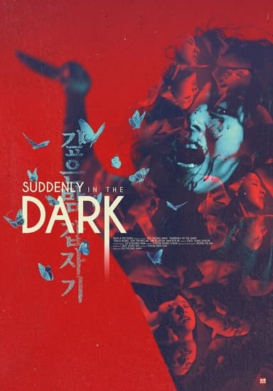 Suddenly in the Dark poster
