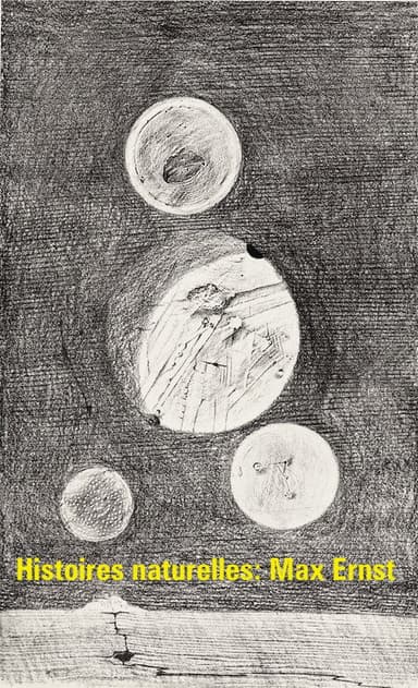 Histoires naturelles : Max Ernst poster